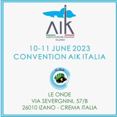 Convention Aik Italia